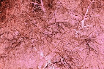 T 095F